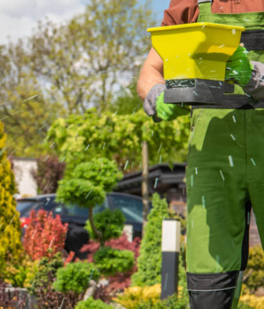 Professional Lawn Fertilizer