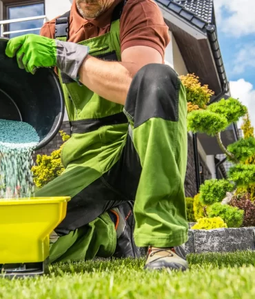 Professional Lawn Fertilizer
